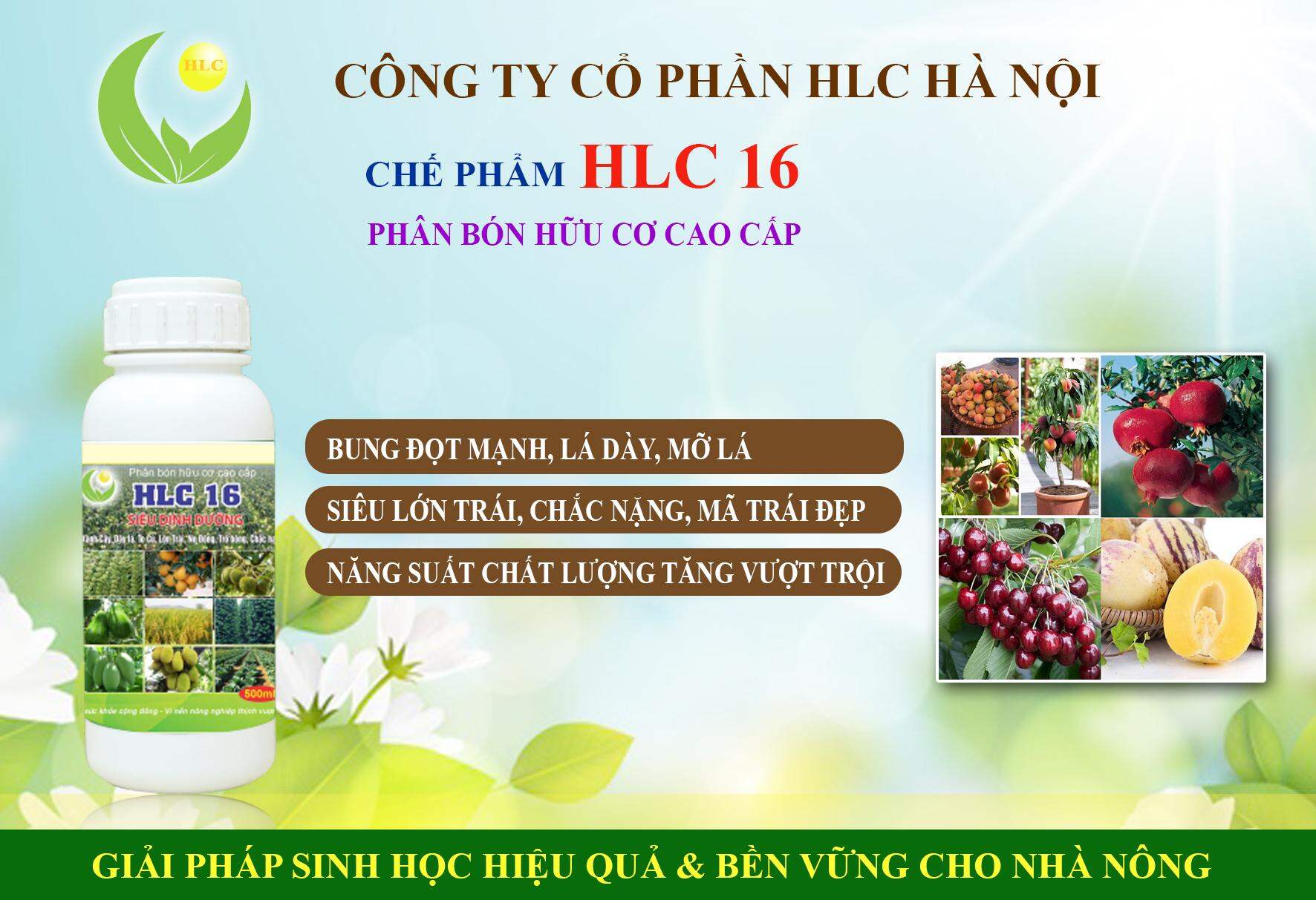CHẾ PHẨM SINH HỌC PHÂN BÓN LÁ CAO CẤP HLC16 CAN 5L