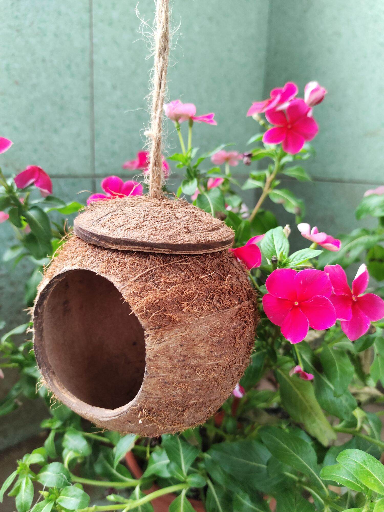 Tổ chim hamster thú cưng gáo dừa mini size