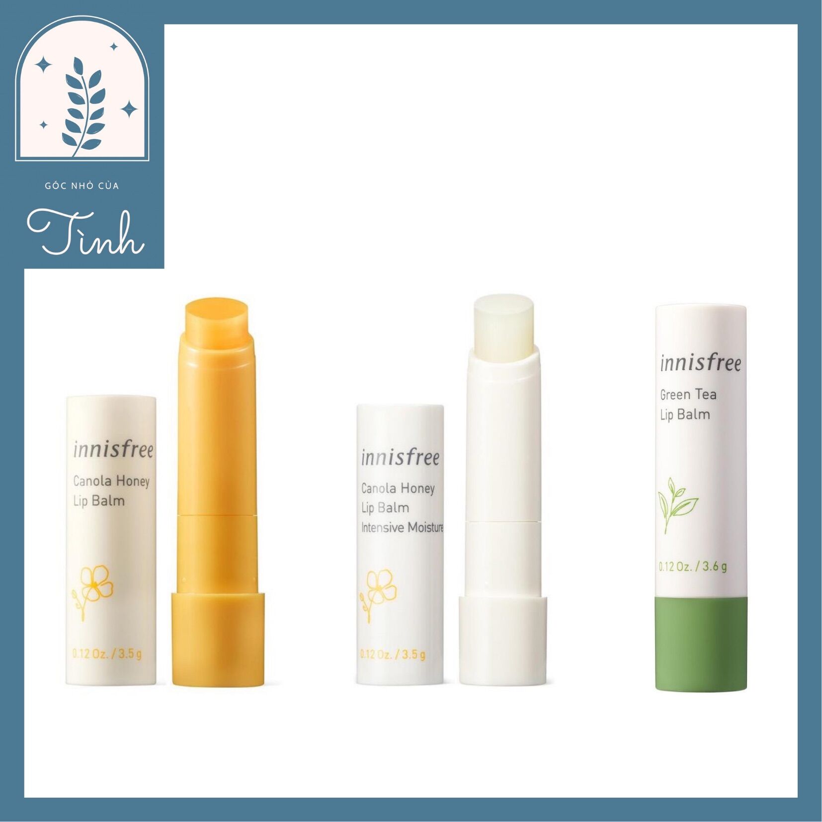 Son dưỡng mật ong/ trà xanh innisfree canola honey/ green tea lip balm 3.5g