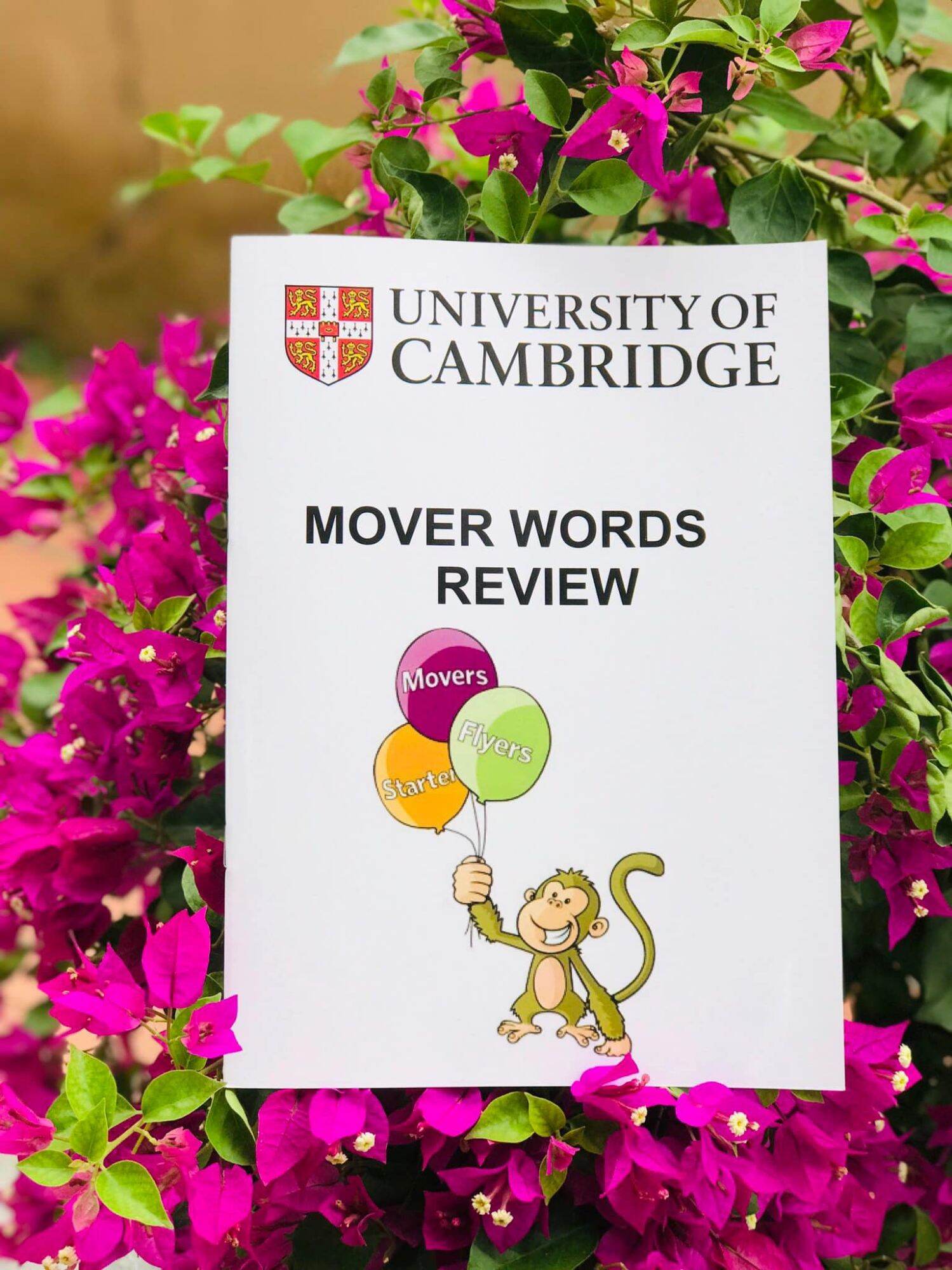 Cambridge English Starters Movers Flyers (Writing)