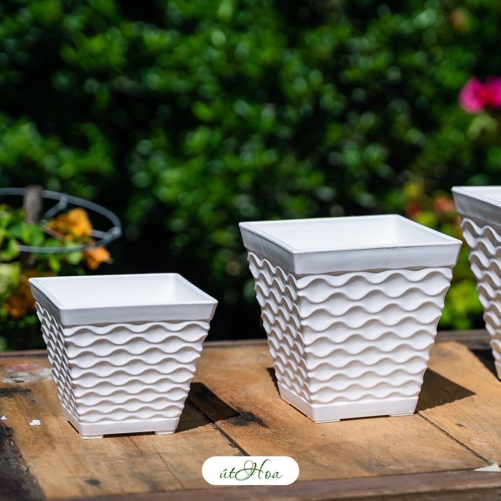 Chậu Để Bàn Mắt Lưới Vuông Trồng Hoa Kiểng