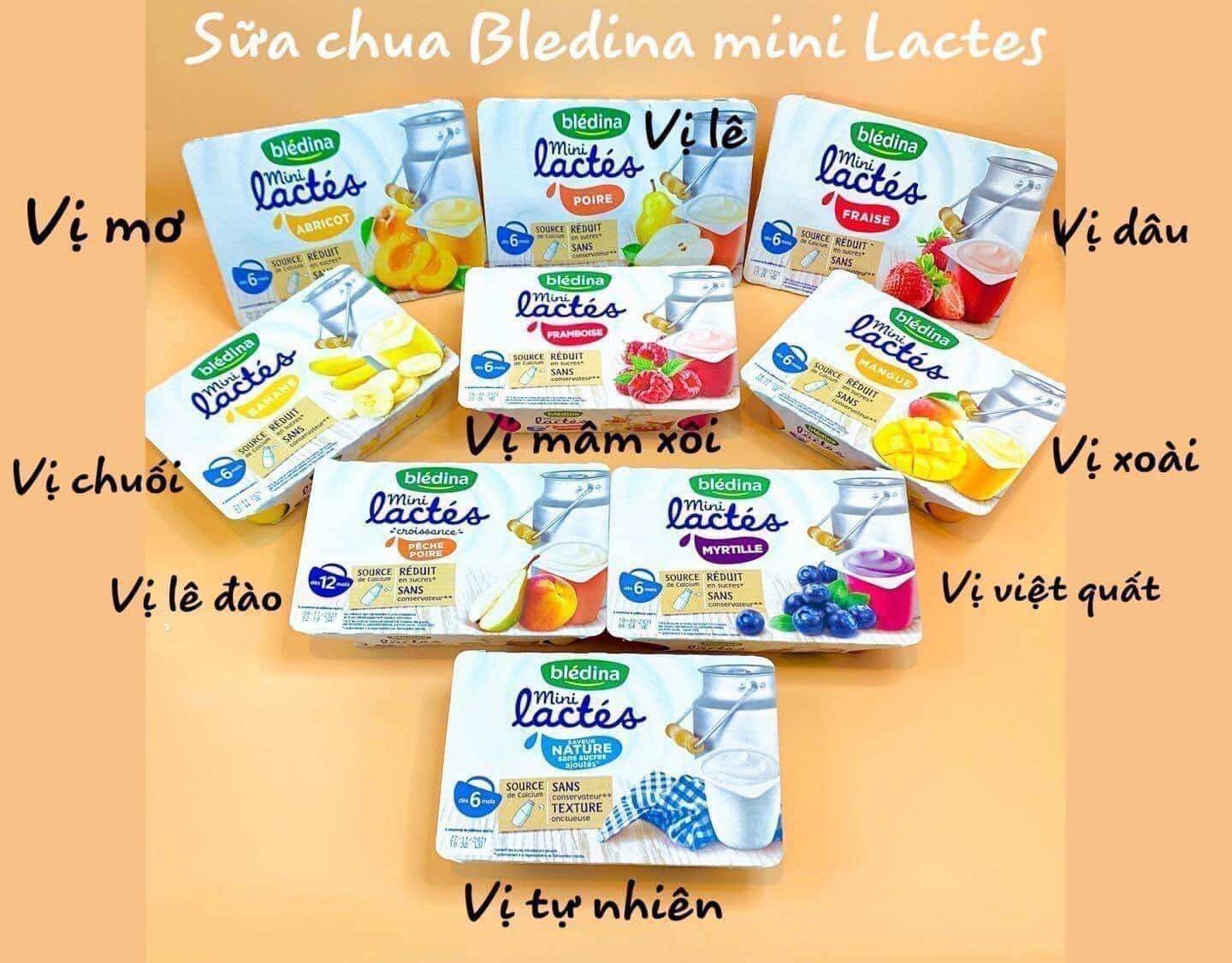 Sữa chua Bledina của Pháp