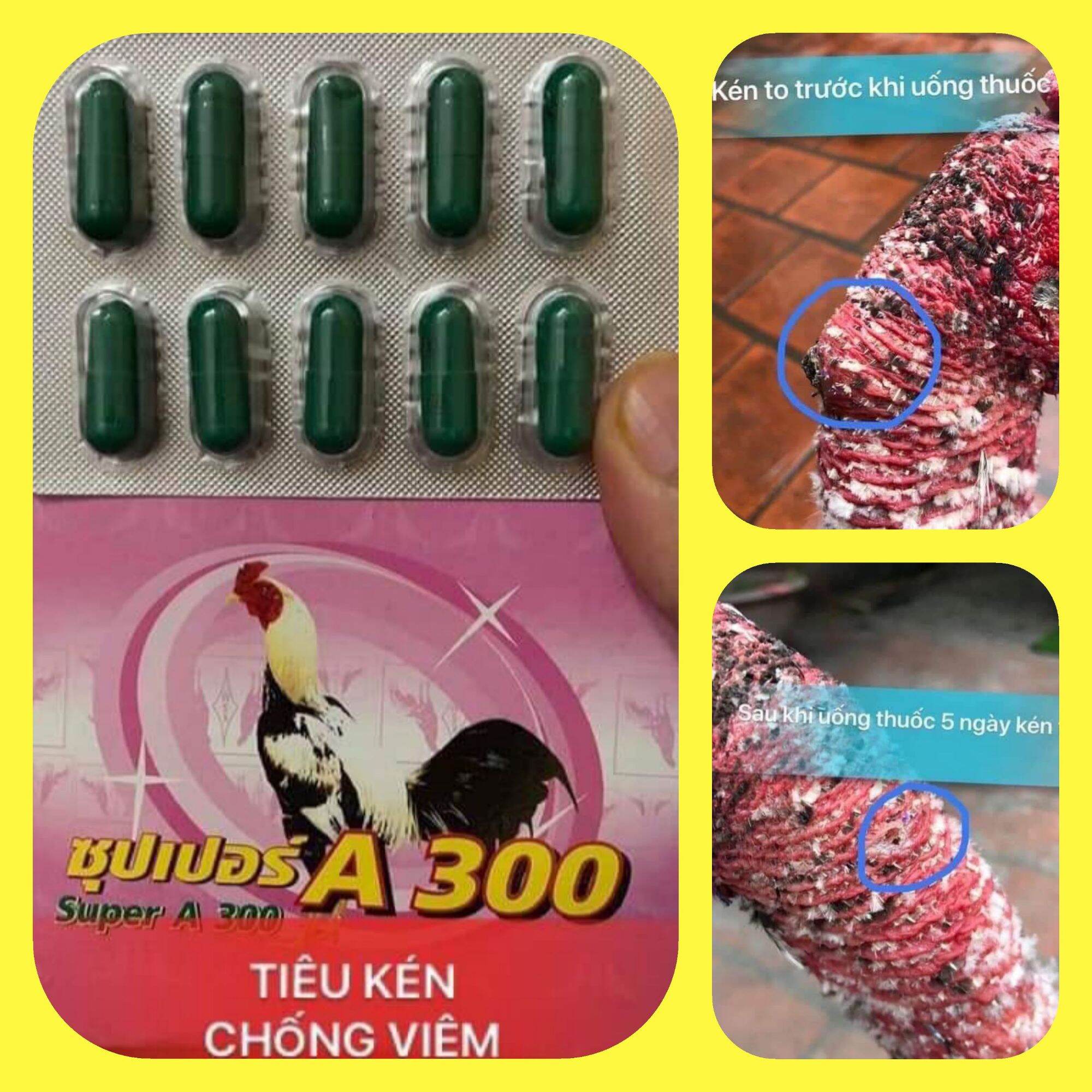 Tiêu kén a300 --tiêu kén,tiêu sưng,k.h.á.n.g v.i.ê.m cho gà đá. - tiêu kén a300