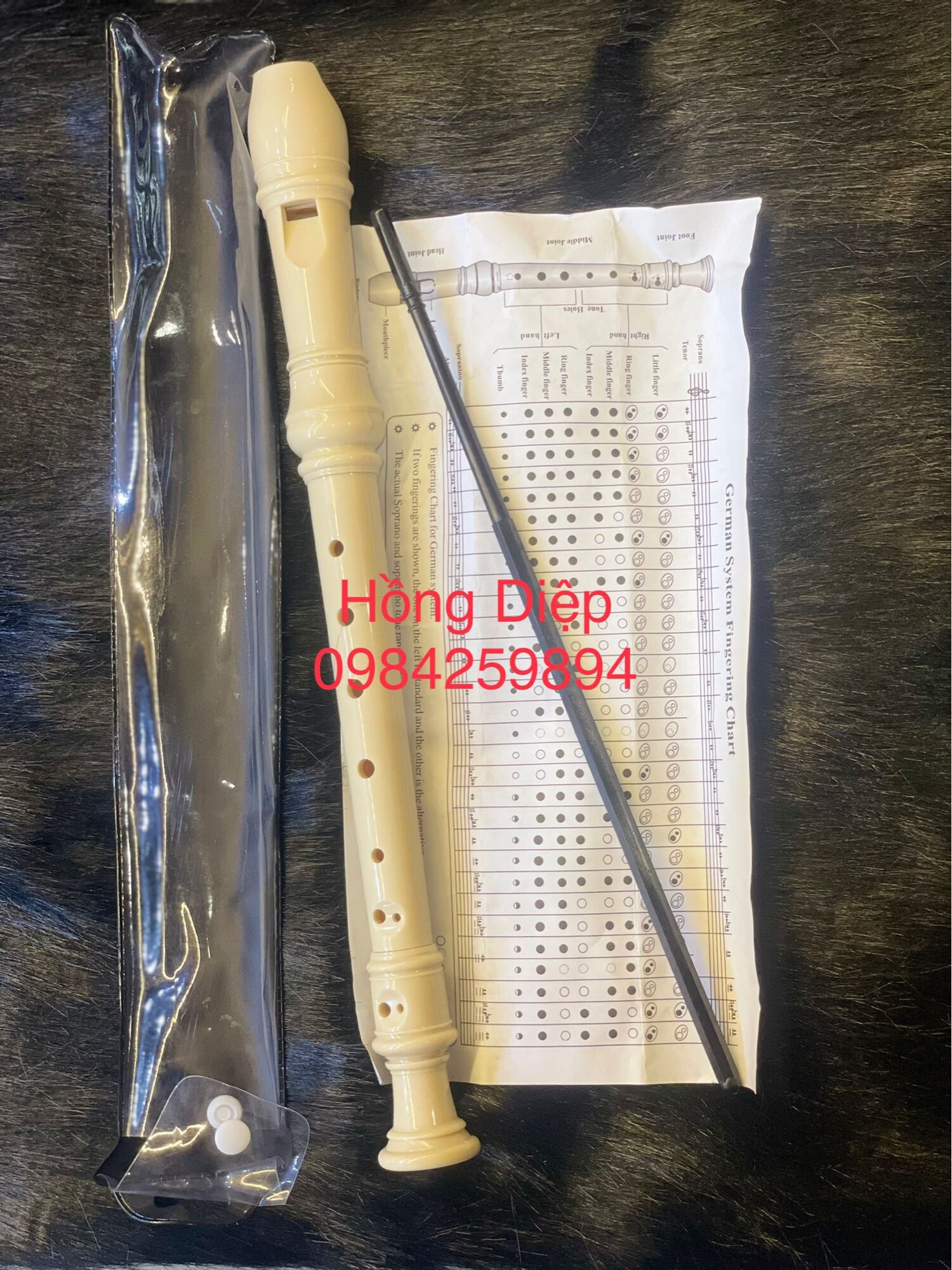 Sáo recorder daddi