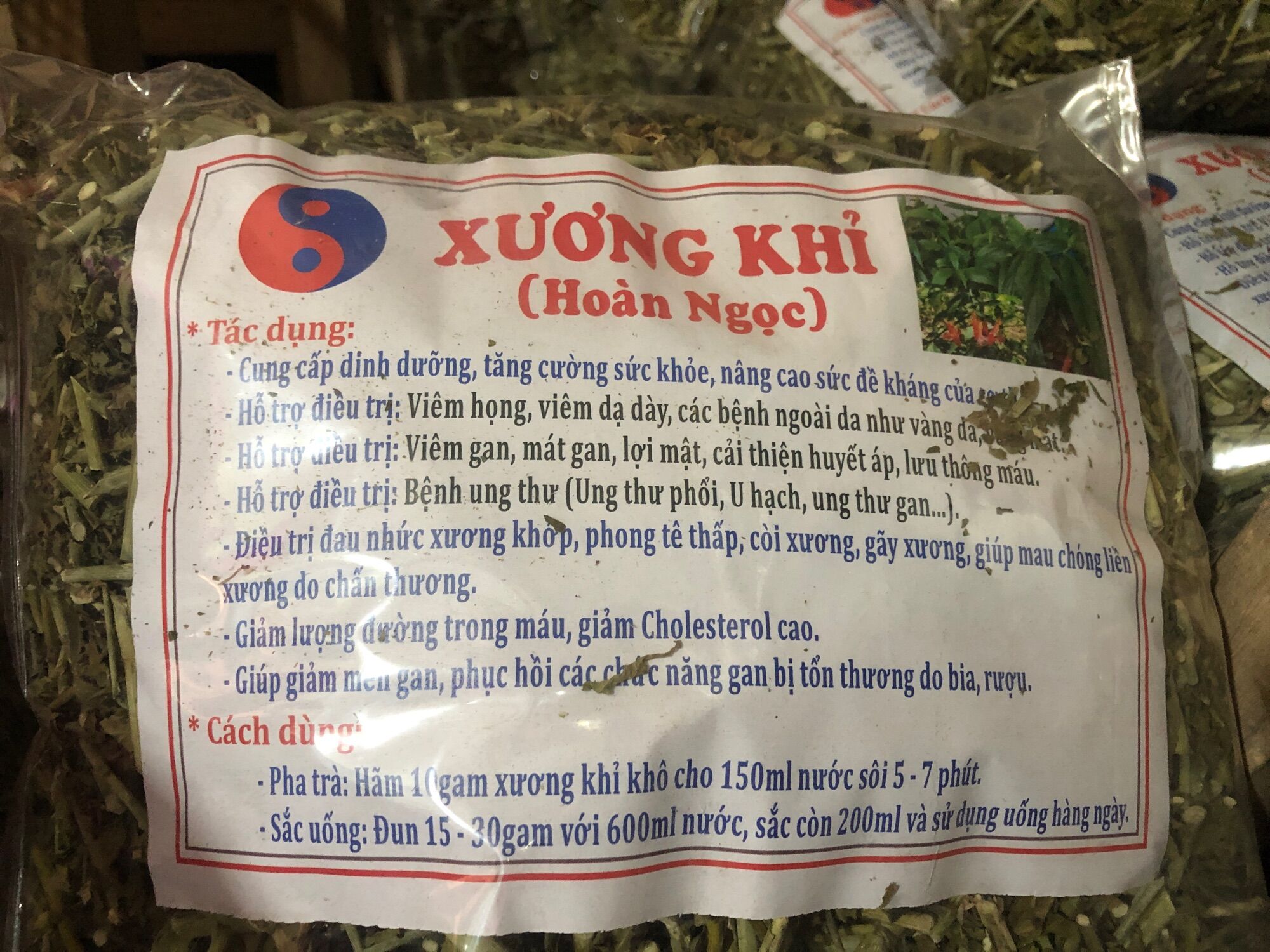 Cây xương khỉ