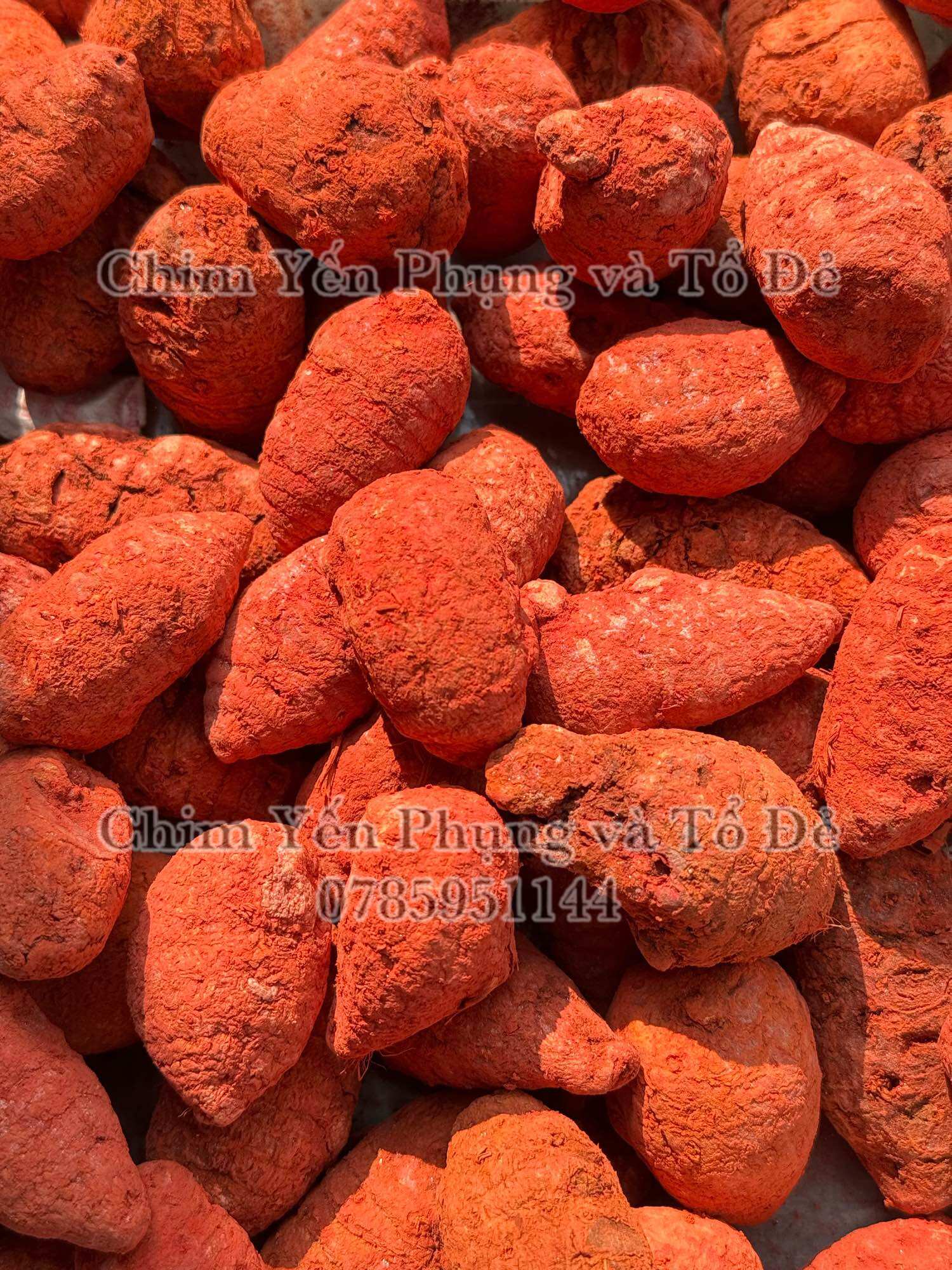 100gr Củ Nghệ đỏ cao cấp - Nghệ củ gà đá.