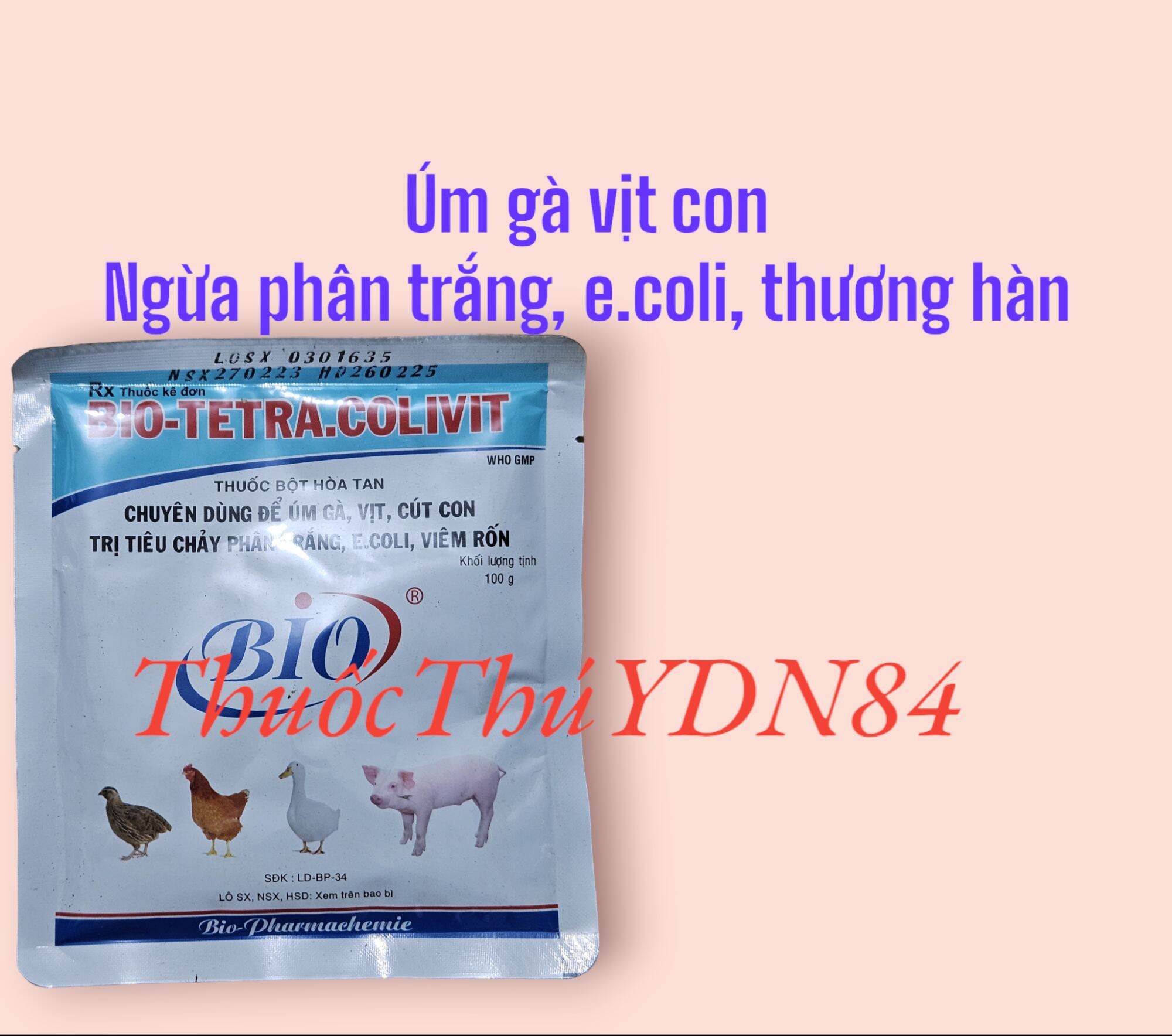 Bio tetra colivit gói 100g úm gà vịt con, tiêu chảy phân trắng, e.coli, viêm rốn