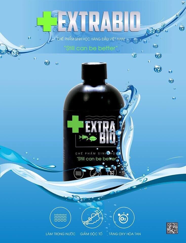 Extra Bio- Vi sinh làm trong nước