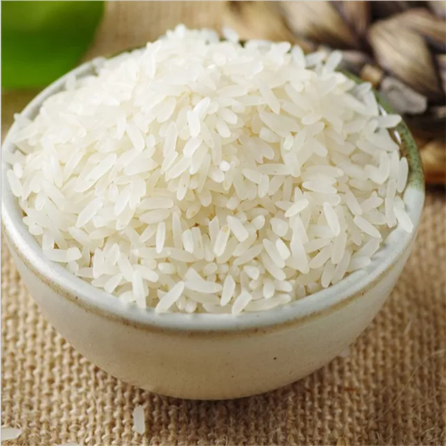 Hạt giống lúa bông lúa vàng túi 1kg