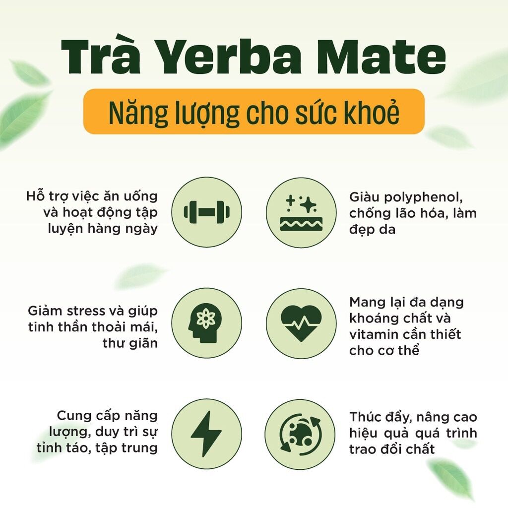 Trà Yerba Maté dạng túi lọc 20 gói