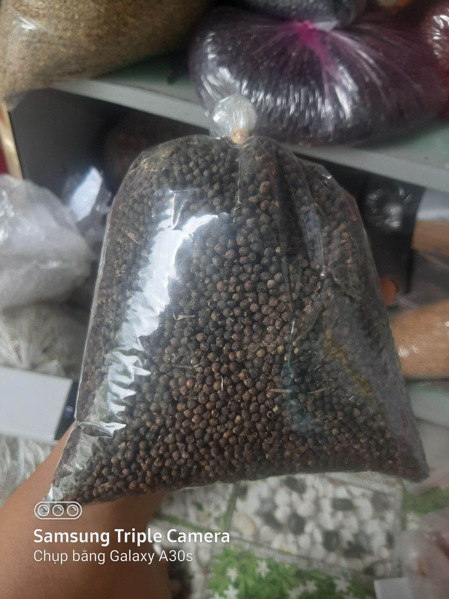 Hạt giống Mồng tơi tỉ lệ đạt cao