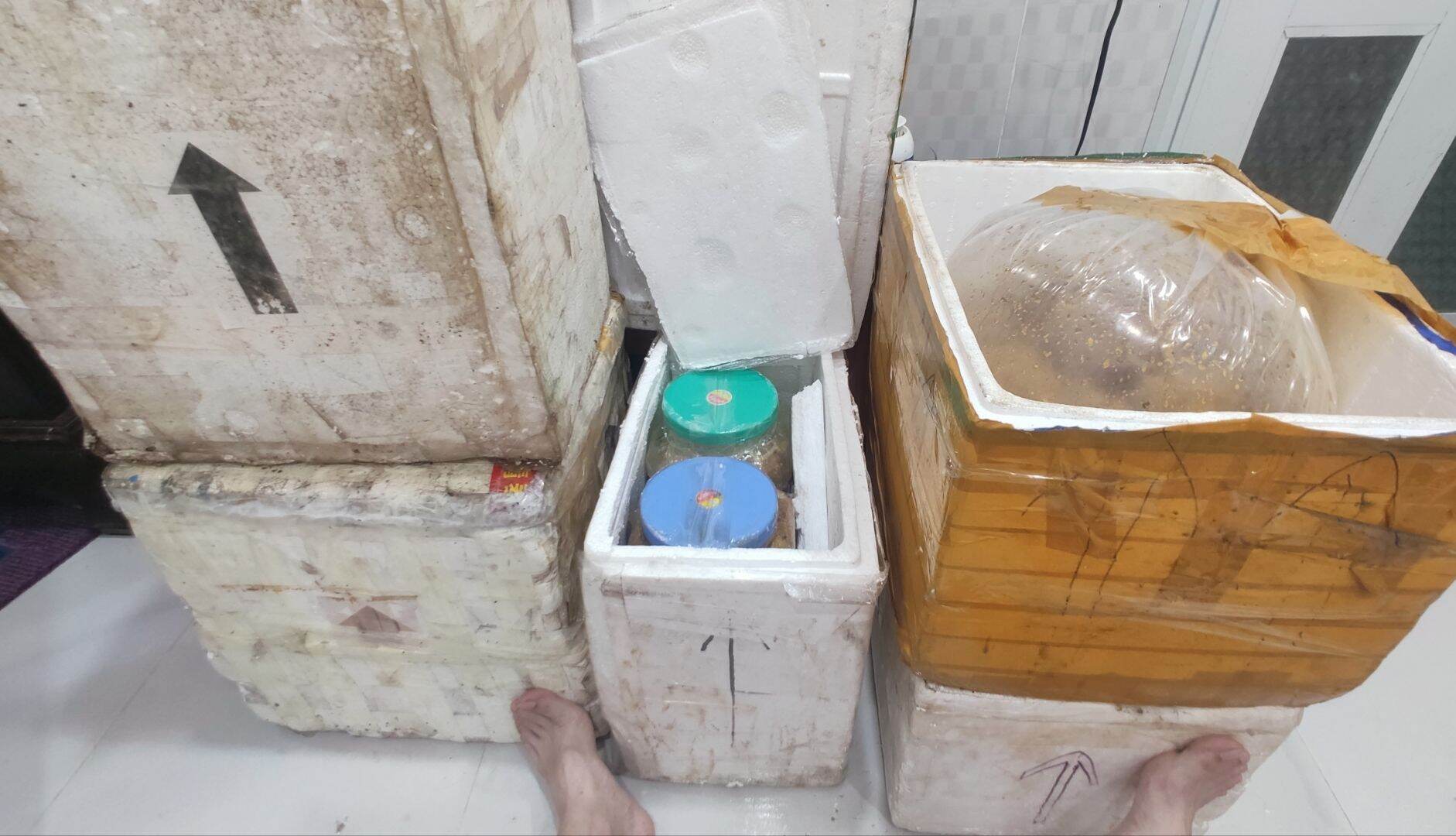 Mật Ong Đá Núi Rừng 0.5 Lít