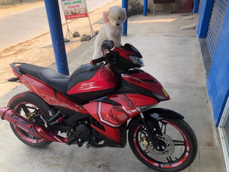 Tem trùm ex 150 3 lớp ( tem in mới)
