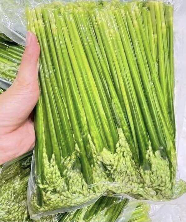 combo 5kg- Đòng Đòng nếp nương thơm ngon