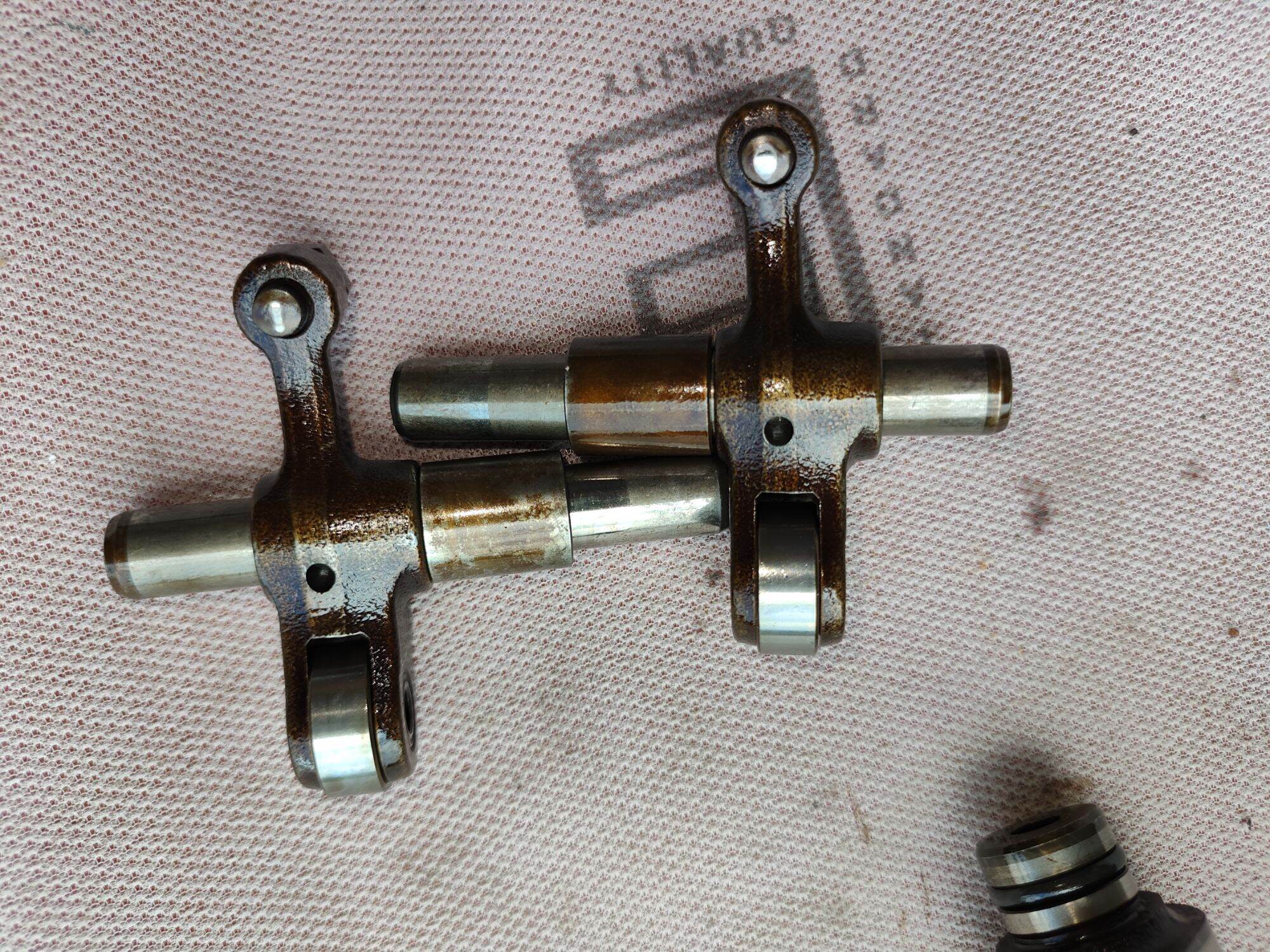 cam cò novo LX