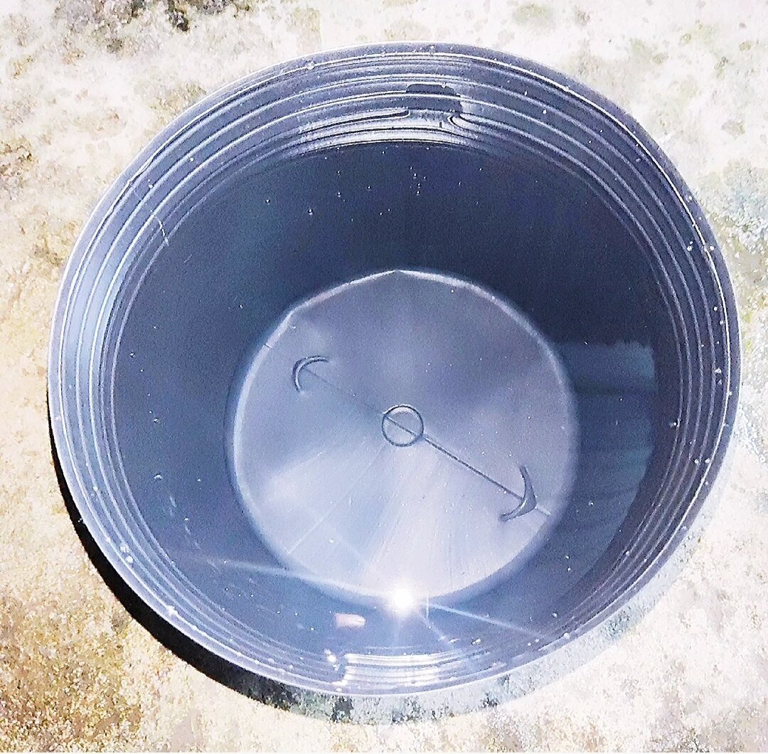 Chậu Nhựa Đen Không Lỗ 20x17cm
