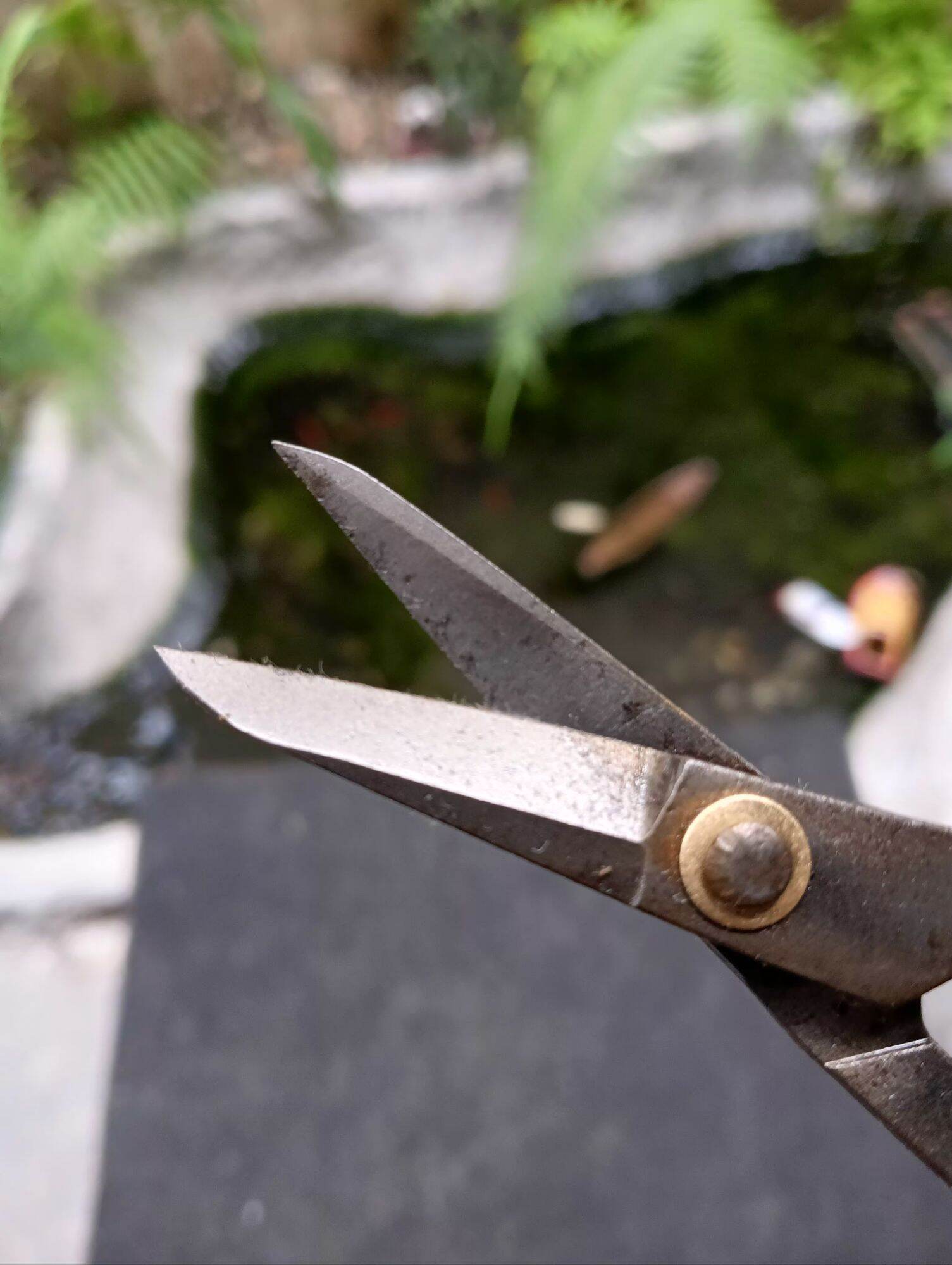 Kéo tỉa Bonsai mũi thẳng hàng Nhật Bãi J401