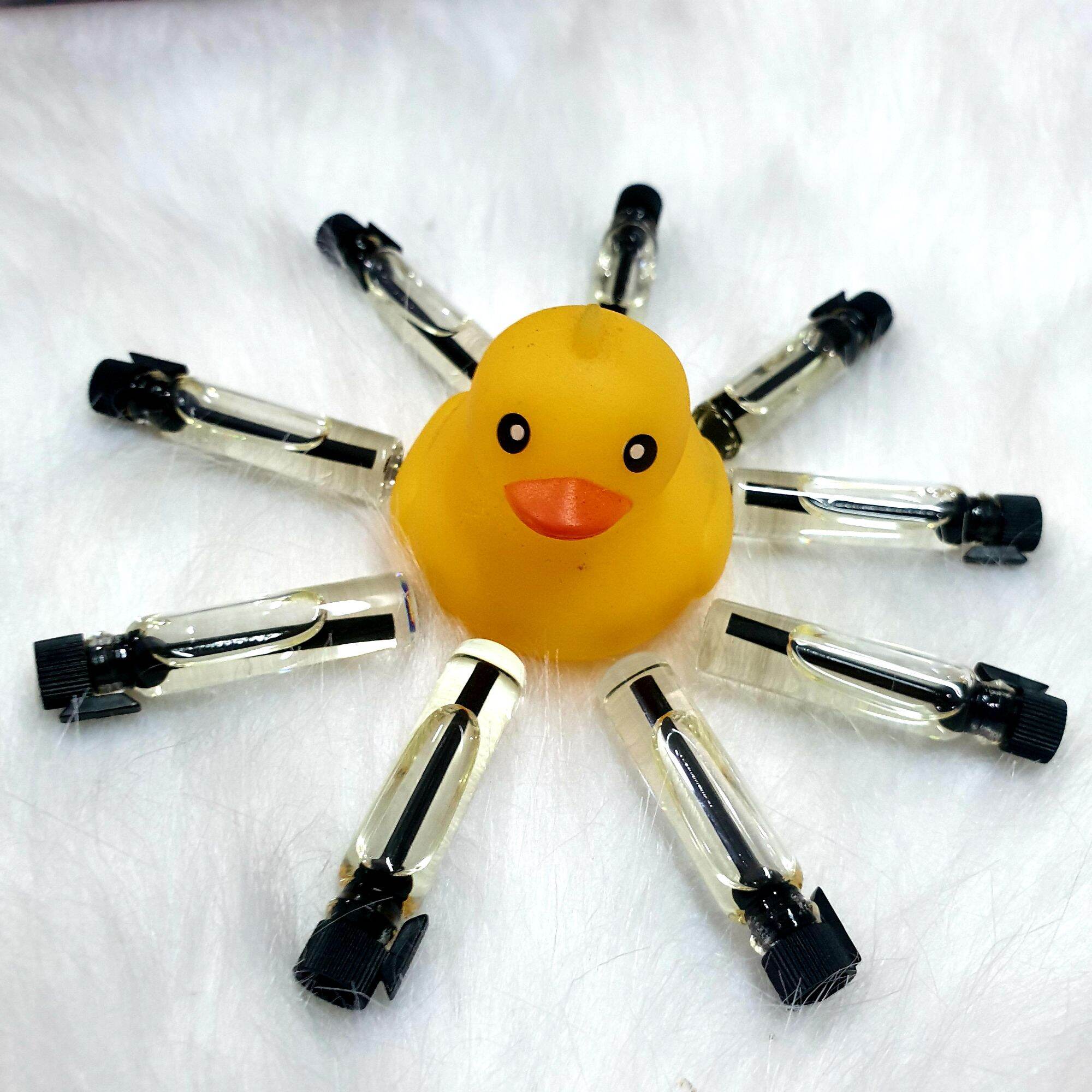 Nước hoa mini hương thơm bền lâu