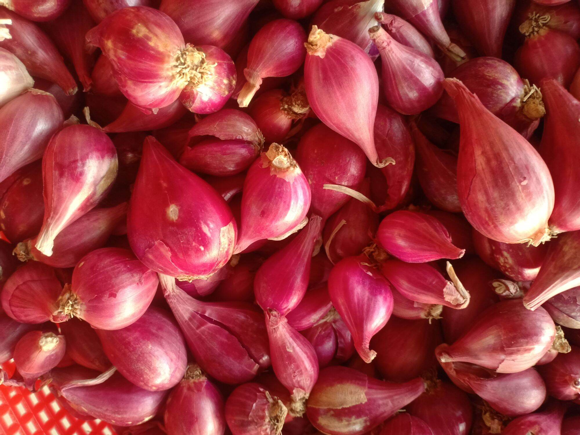 Hành tím Phan Rang chất lượng 500gr