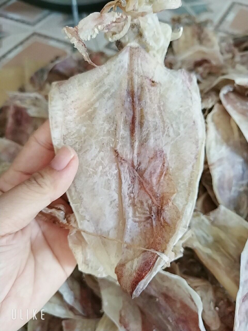 Sét 90-100 con , mực ghe nhà, mực thơm ngọt, có bán sỉ