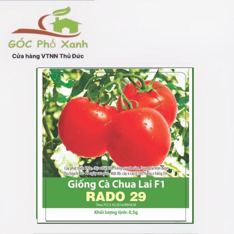 Hạt giống cà chua lai F1