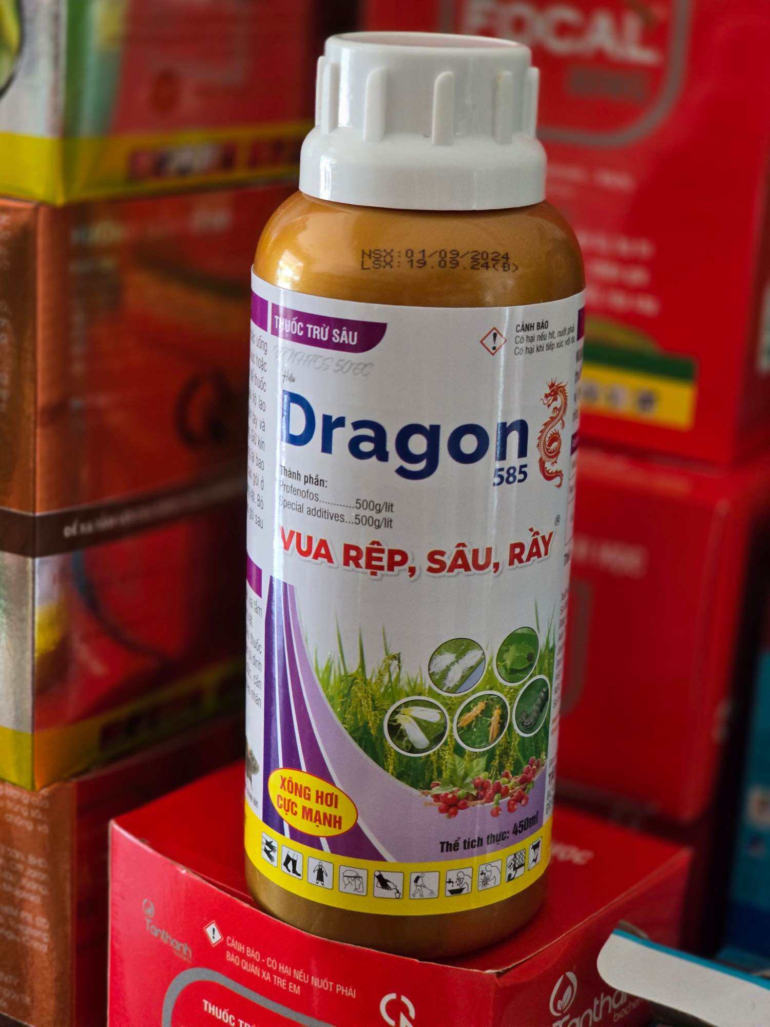 DRAGON 585 - CHUYÊN SÂU ĐỤC THÂN - ĐUỔI CHUỘT - BỌ TRĨ