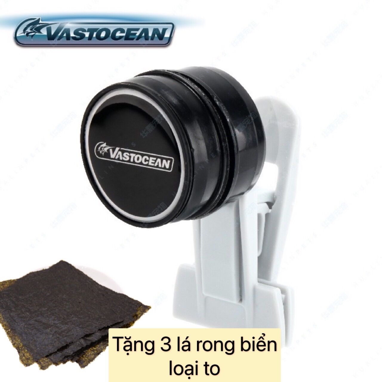 Kẹp rong cho hồ cá biển
