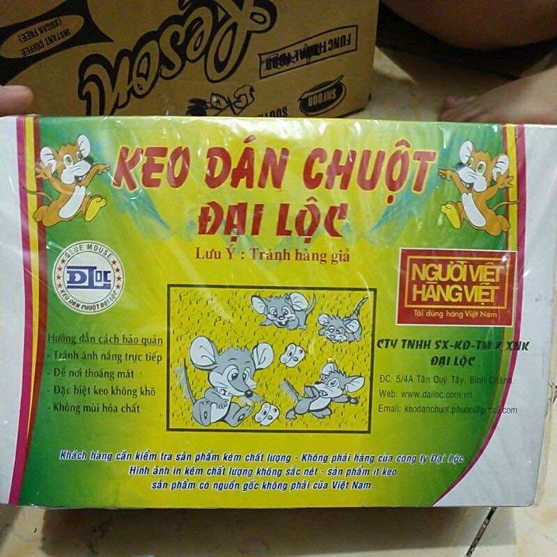 Combo 60. Miếng keo dán chuột siêu dính đại Lộc