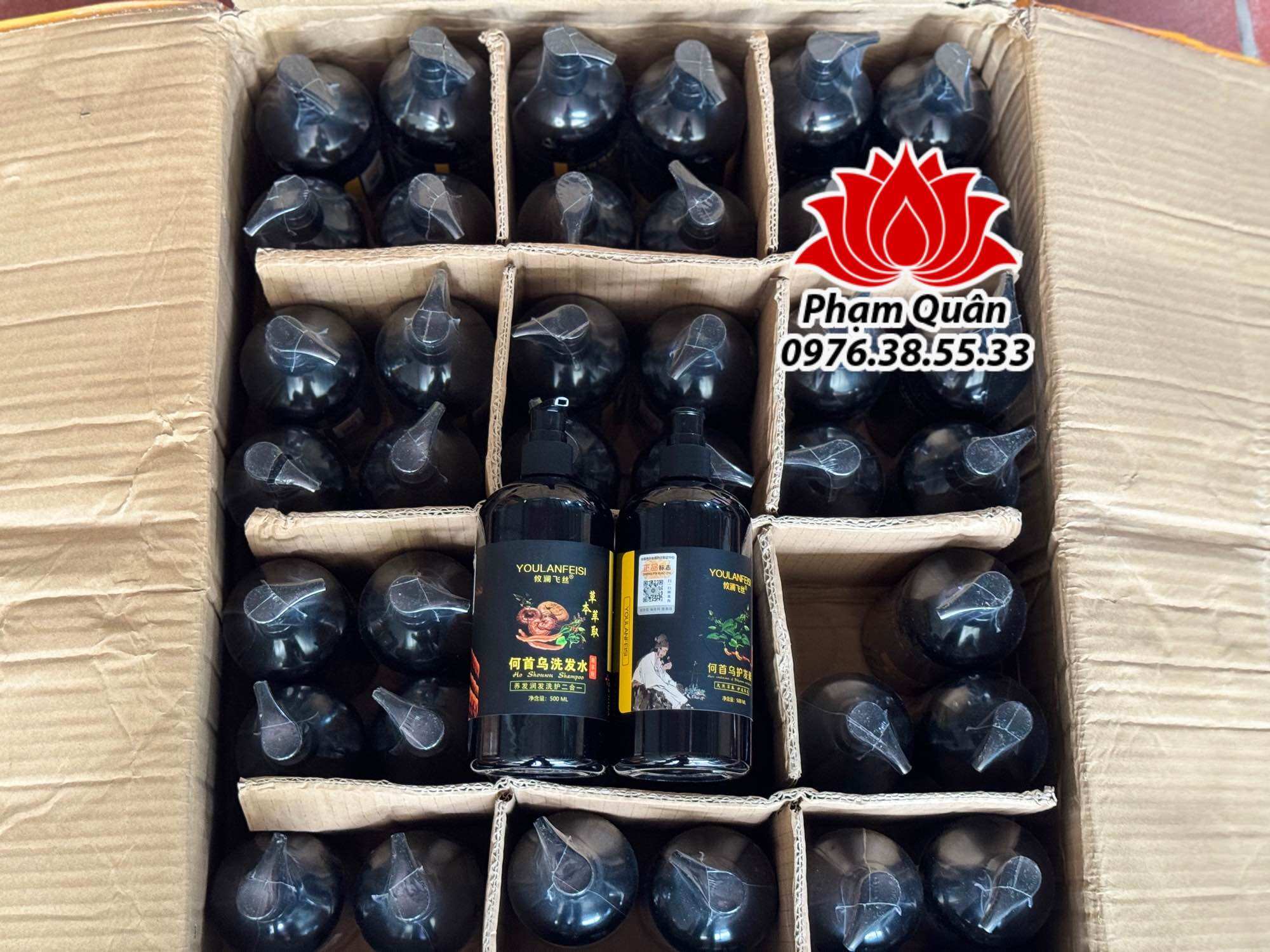 Cặp dầu gội thảo dược Hà Thủ Ô- Linh Chi 500ml