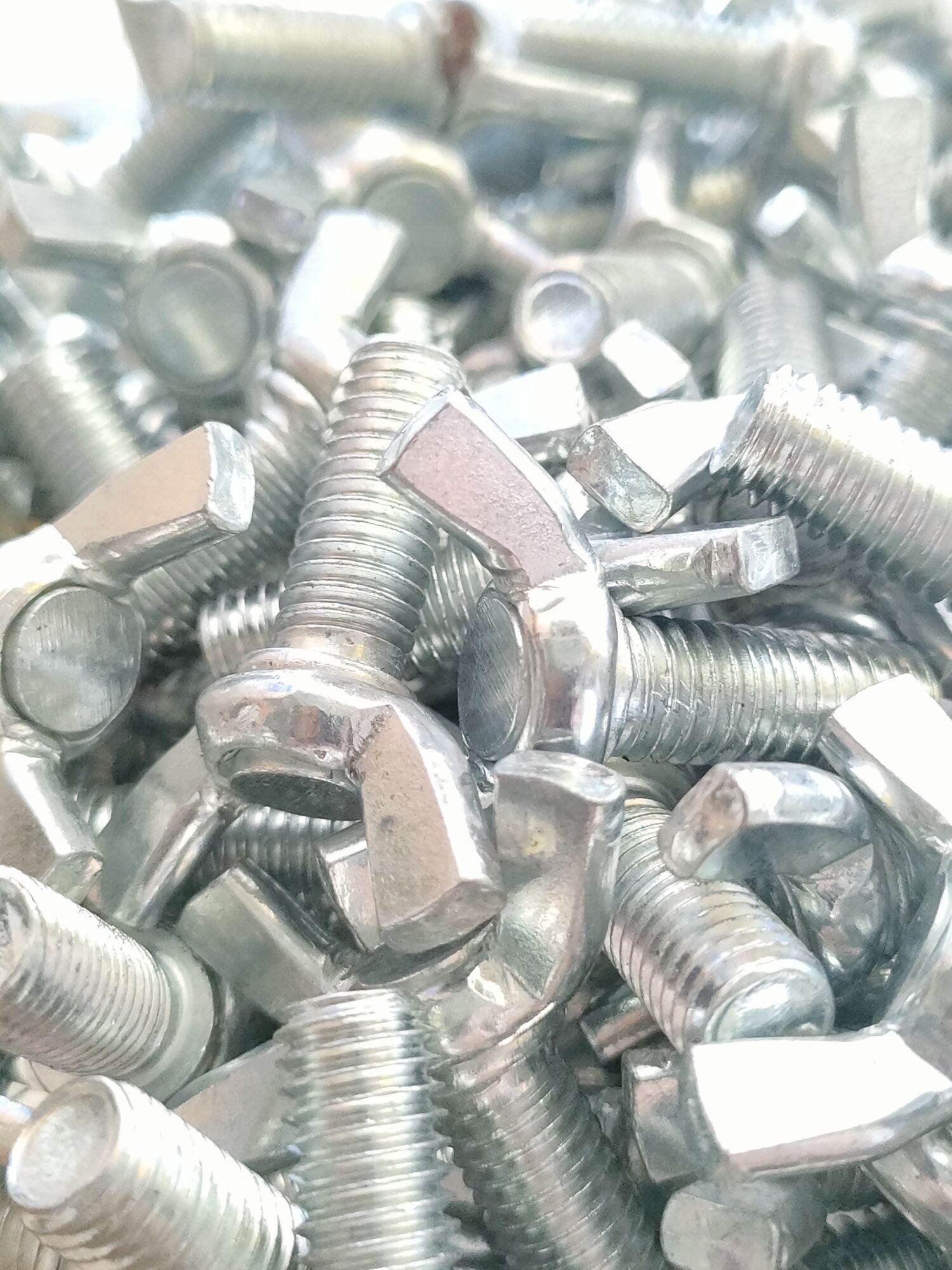 [HCM]ốc chuồn 8lyx2cm x10 con....