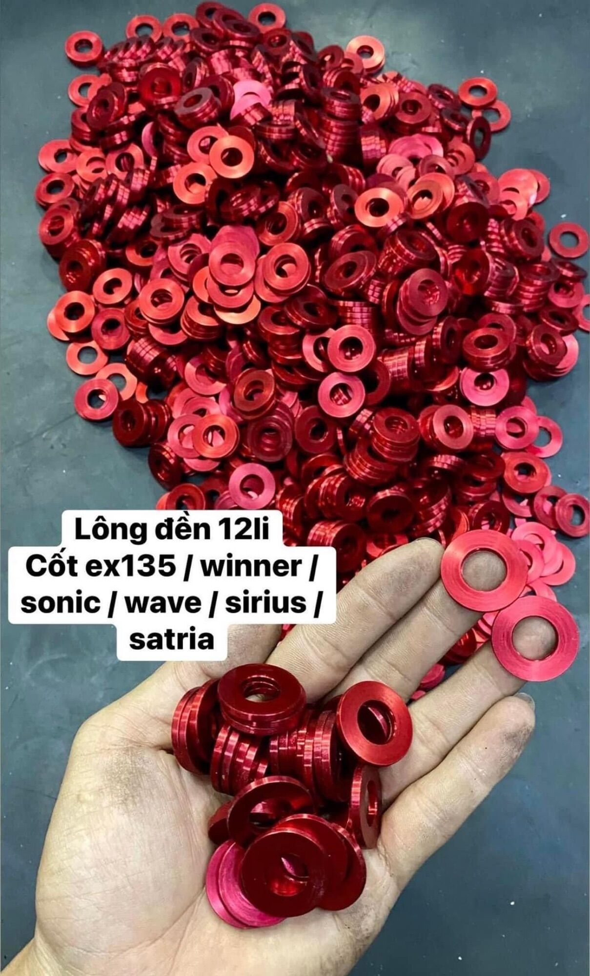 Long Đền Đỏ 6 - 8 - 10 - 12Li - Lót ốc Salaya