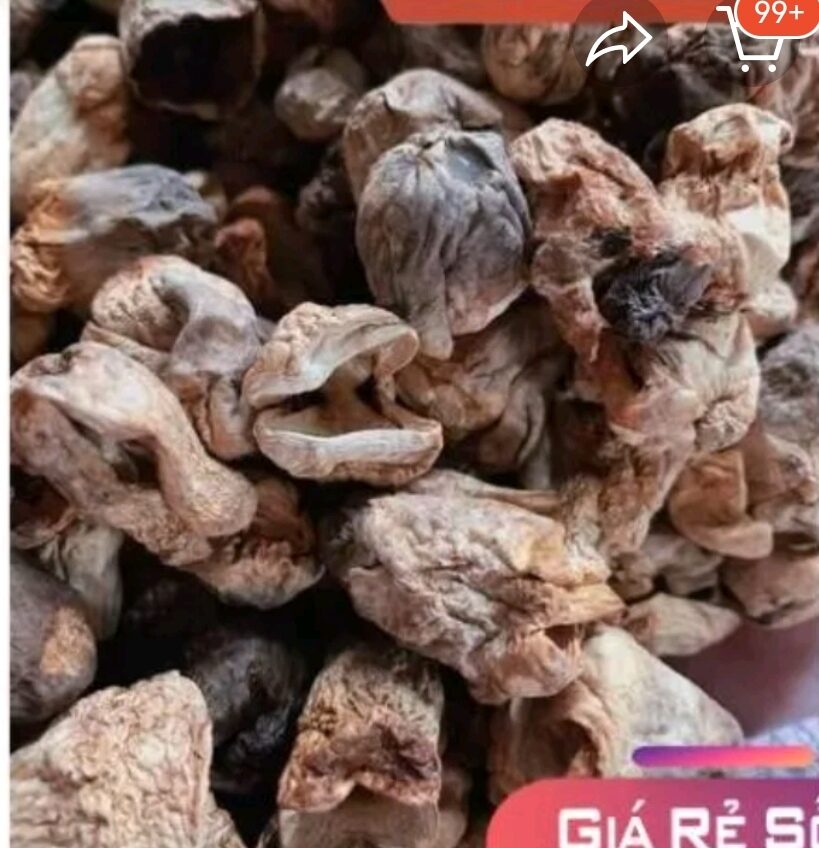 500gram nấm rơm búp khô_ loại 1 thơm ngon