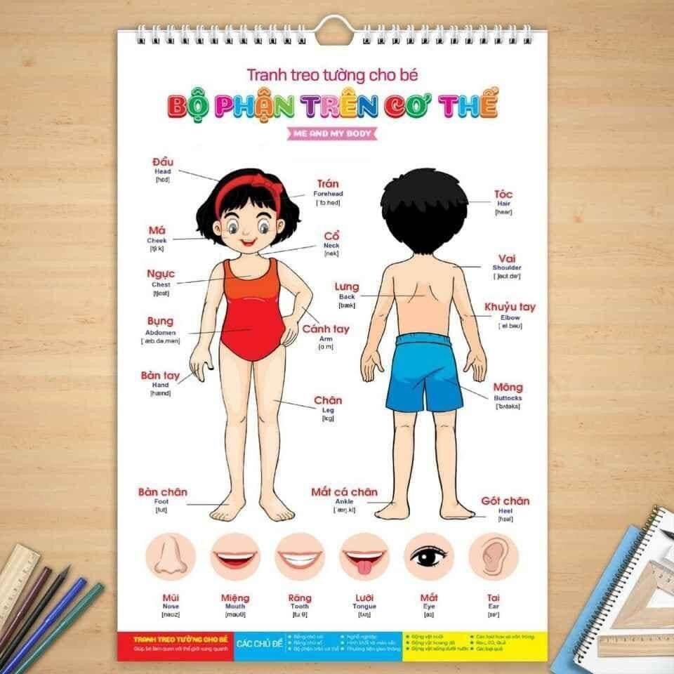 Tranh treo tường 14 chủ đề cho bé