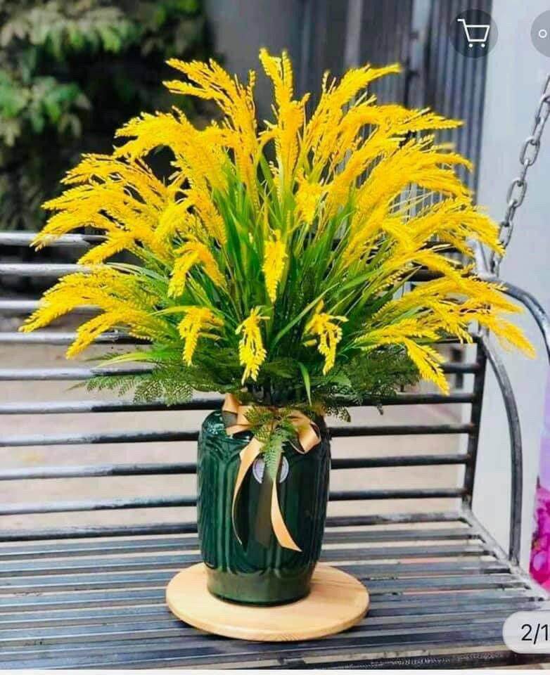 Hoa lúa mạch khô 100 bông