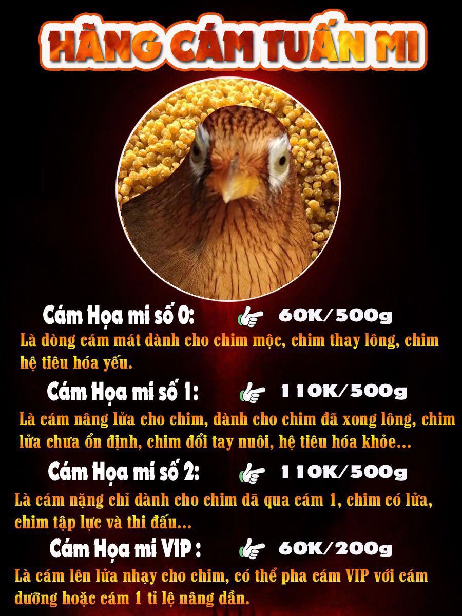 Cám Hoạ Mi căng lửa (VIP) 200g