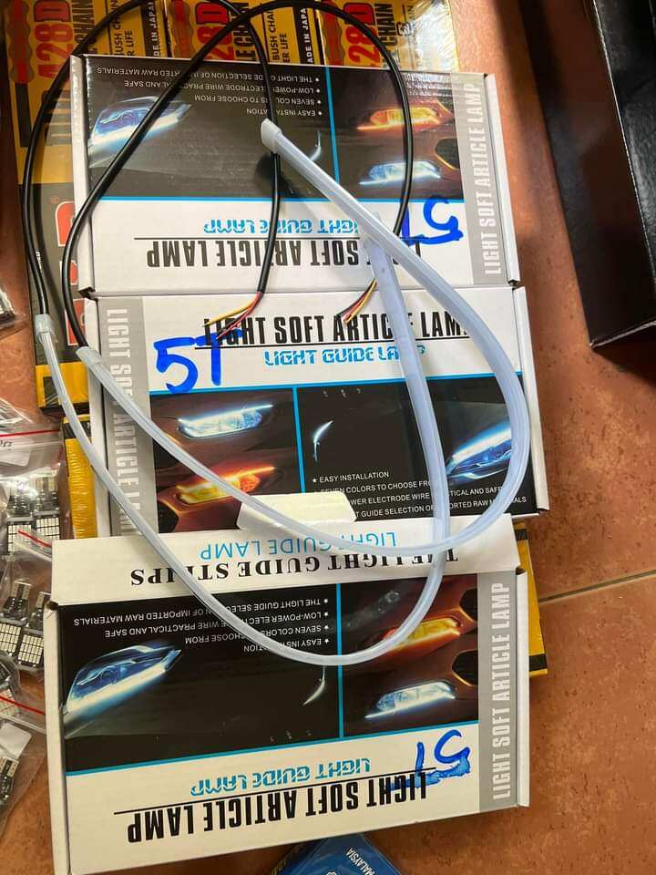 2 sợi dây đèn led audi