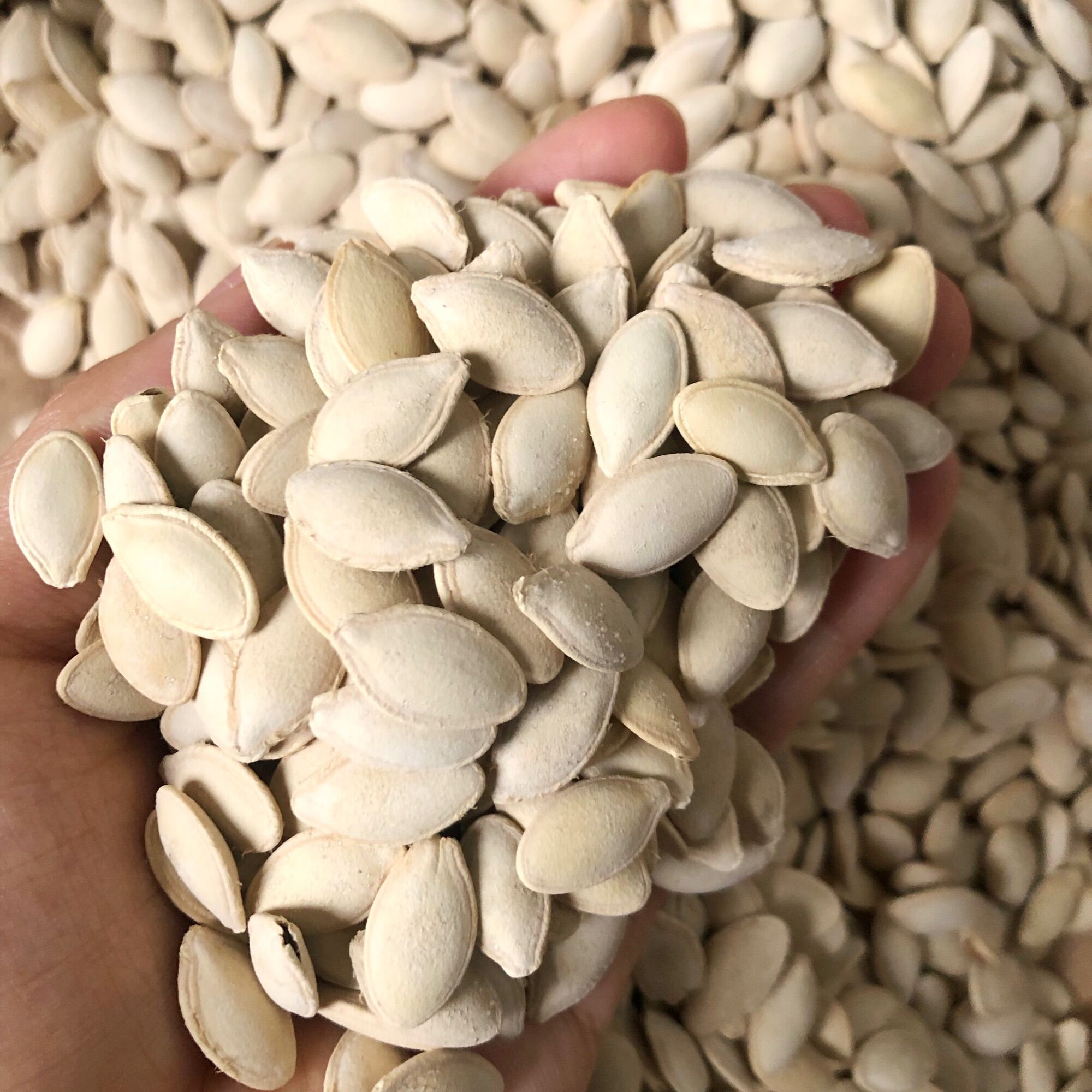 Hạt Bí Rang Muối Hùng Ký Túi 500g