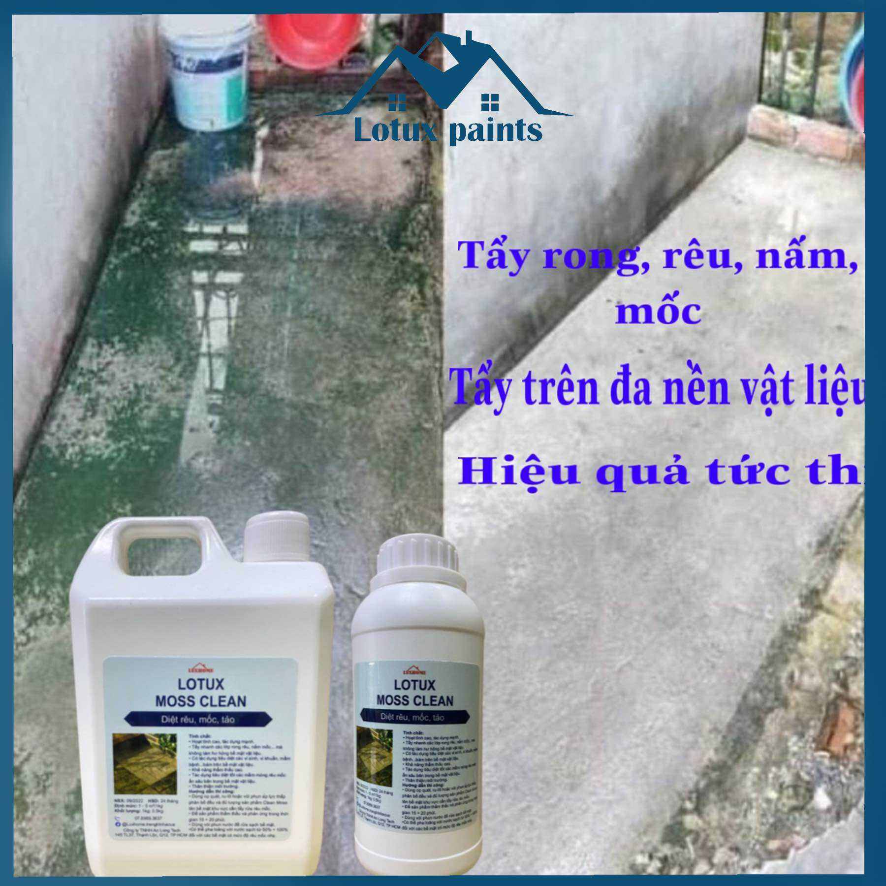 Nước tẩy rong rêu, nấm mốc, tảo, vi khuẩn trên đa vật liệu, dung dịch diệt tảo, vi khuẩn đa năng Lotux paints