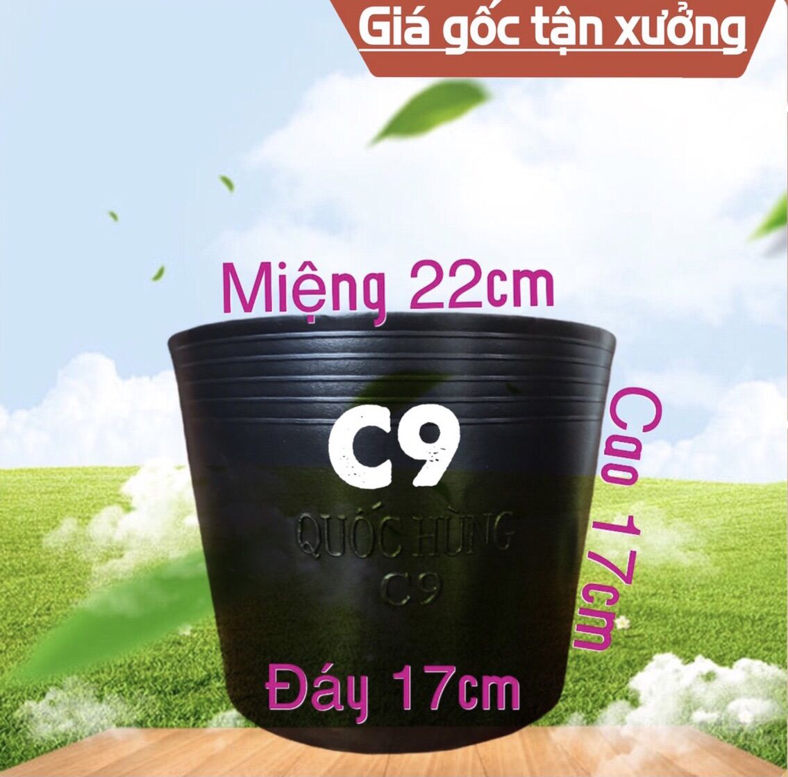 Combo 10 chậu C9 thương hiệu Quốc Hùng