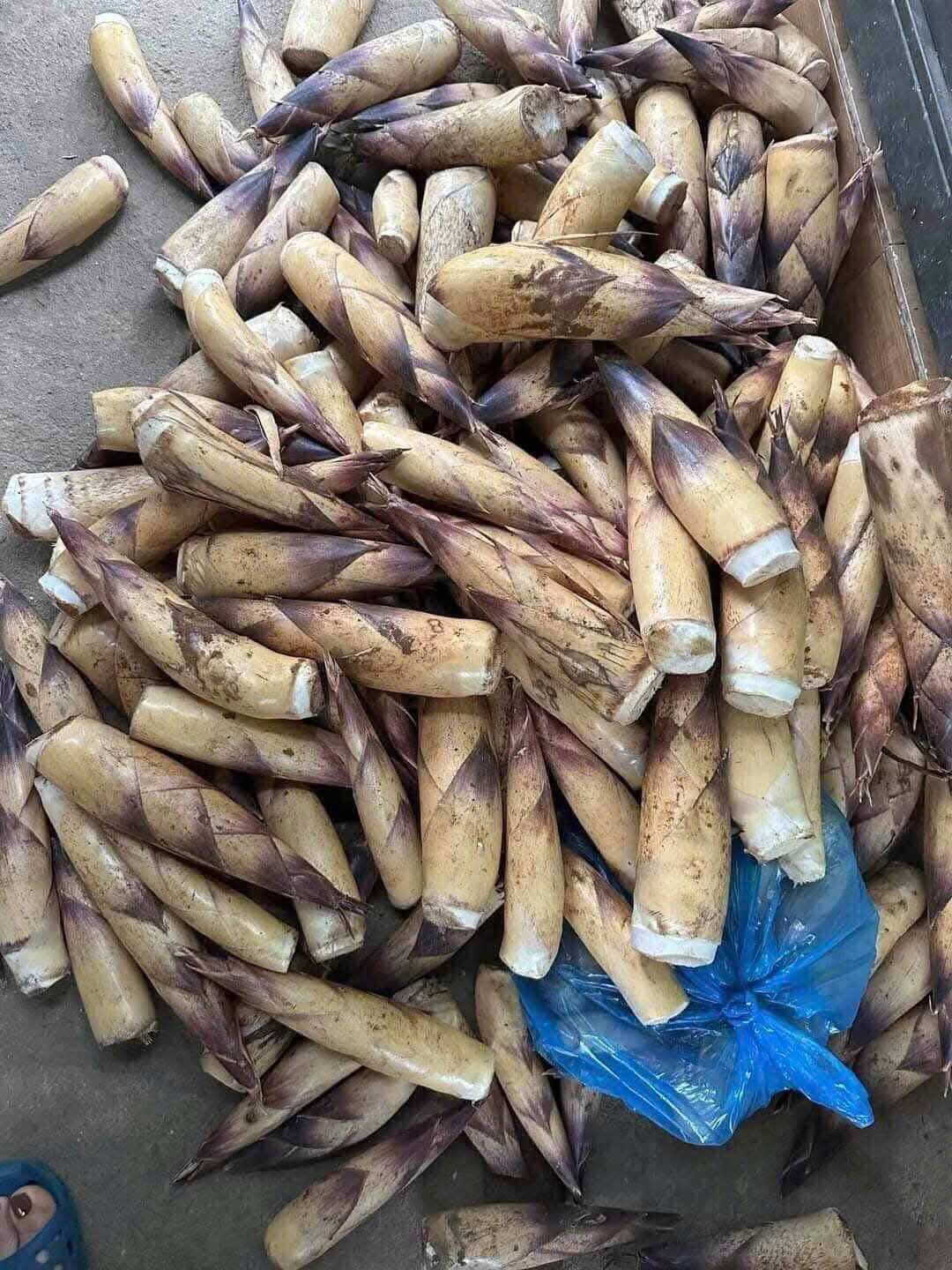 Măng vầu tây băc ngọt thơm 2kg