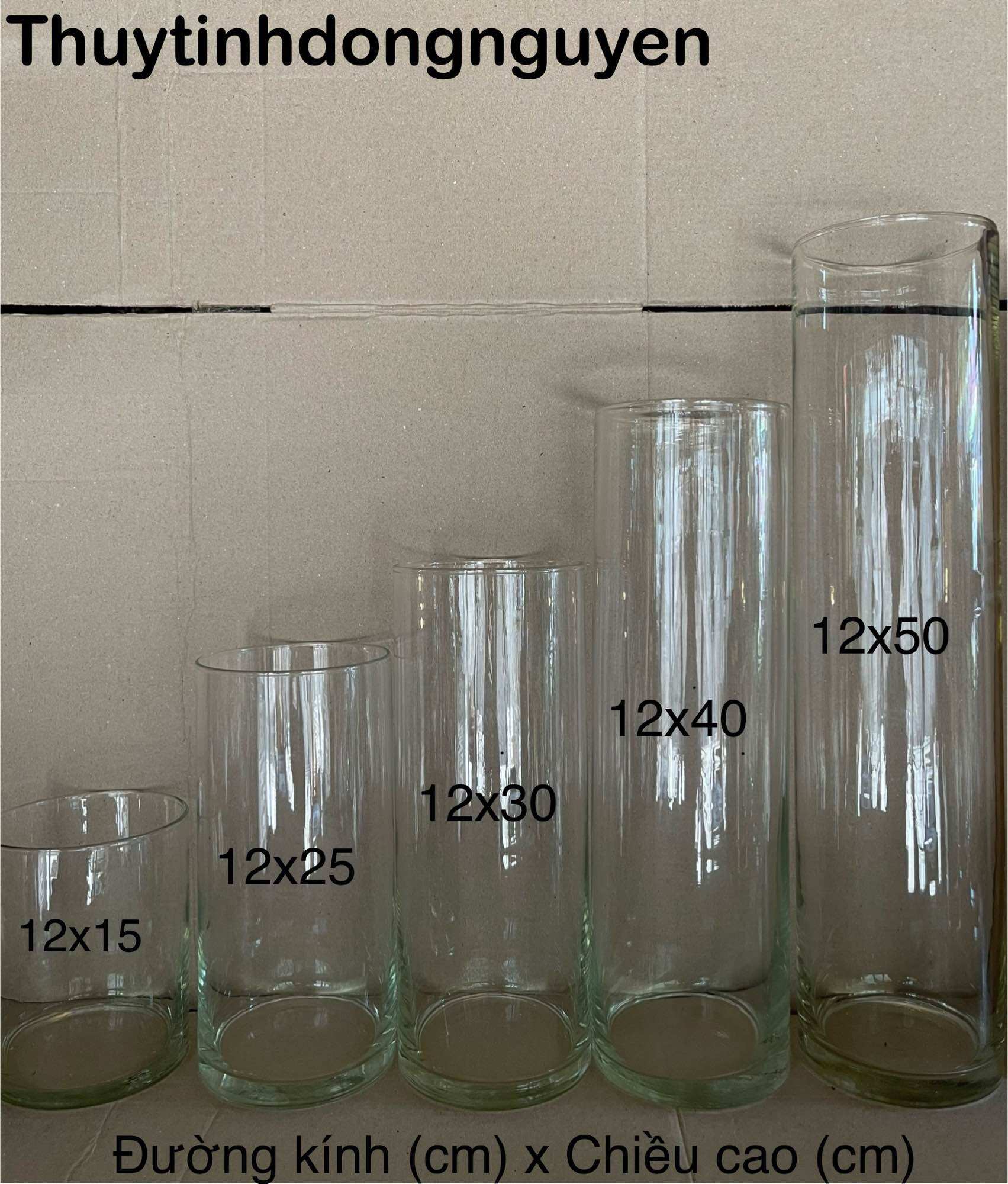 (D12cm x H25cm) Lọ hoa bình thuỷ tinh trụ tròn 12x25cm (đường kính 12cm cao 25cm)