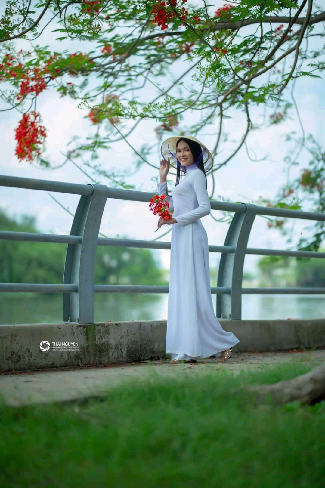 Nón lá chụp ảnh xuyên sáng
