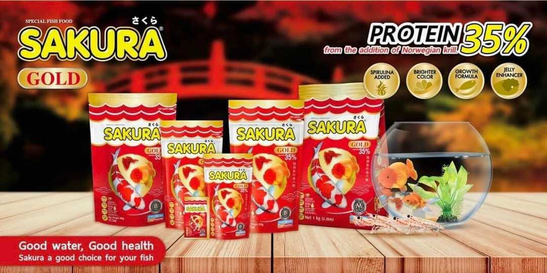 THỨC ĂN CÁ CẢNH SAKURA GOLD 500G - SIZE M. 4MM - THÁI LAN