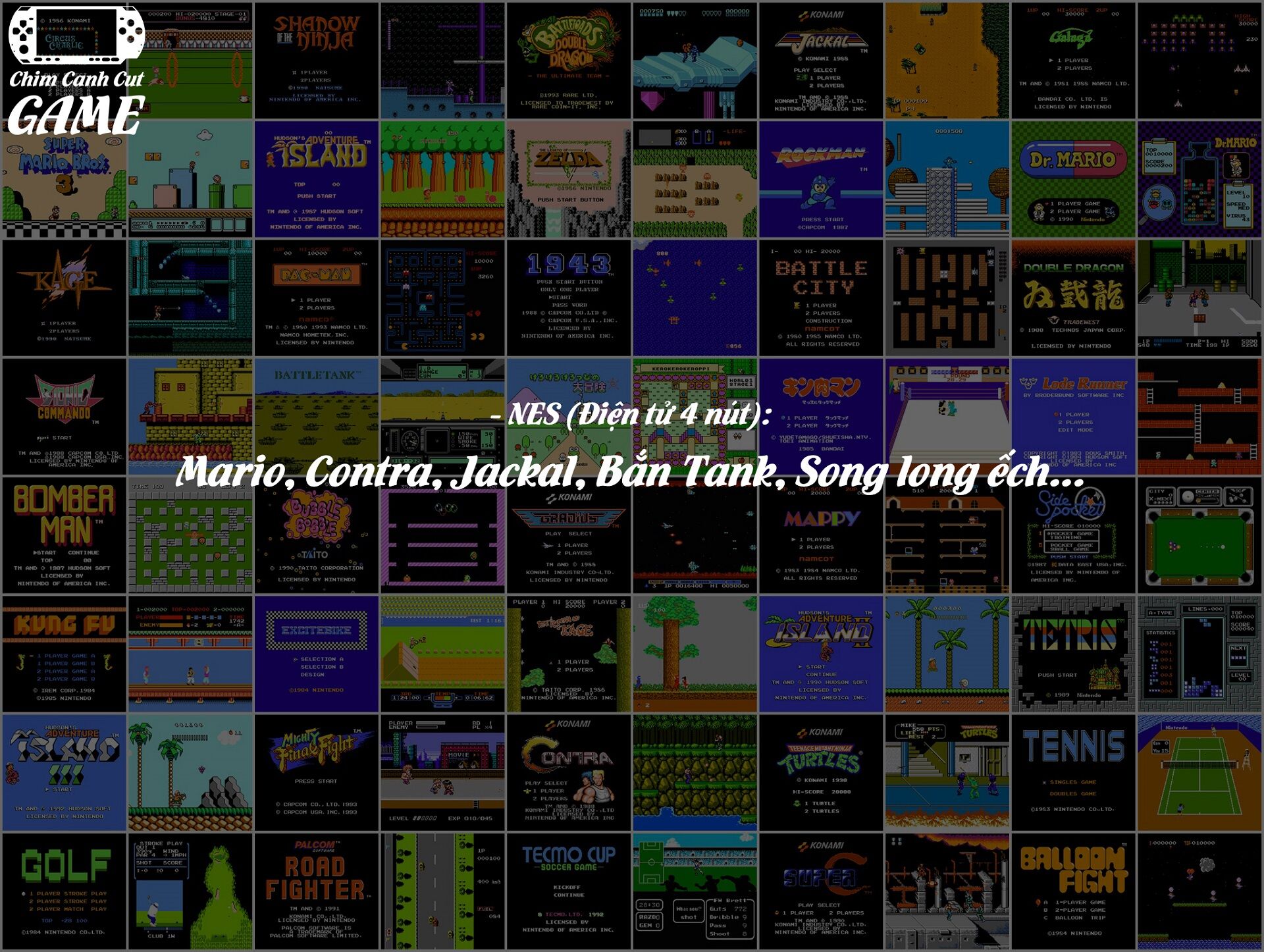 Thẻ nhớ cho máy Nintendo DSi (Hỗ trợ cài Twilight + Copy Game Free)