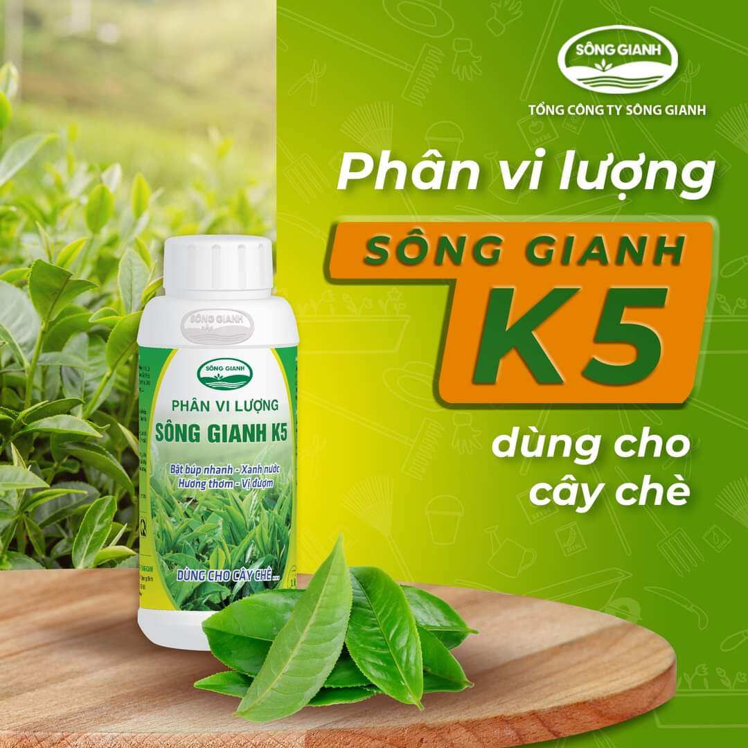 Phân bón cho cây chè - Phân bón lá Sông Gianh - Bật búp nhanh, nảy chồi mạnh, lá xanh dầy, búp mập, nước xanh đượm hương, uống đậm, ngọt hậu chai 500ml tiện lợi