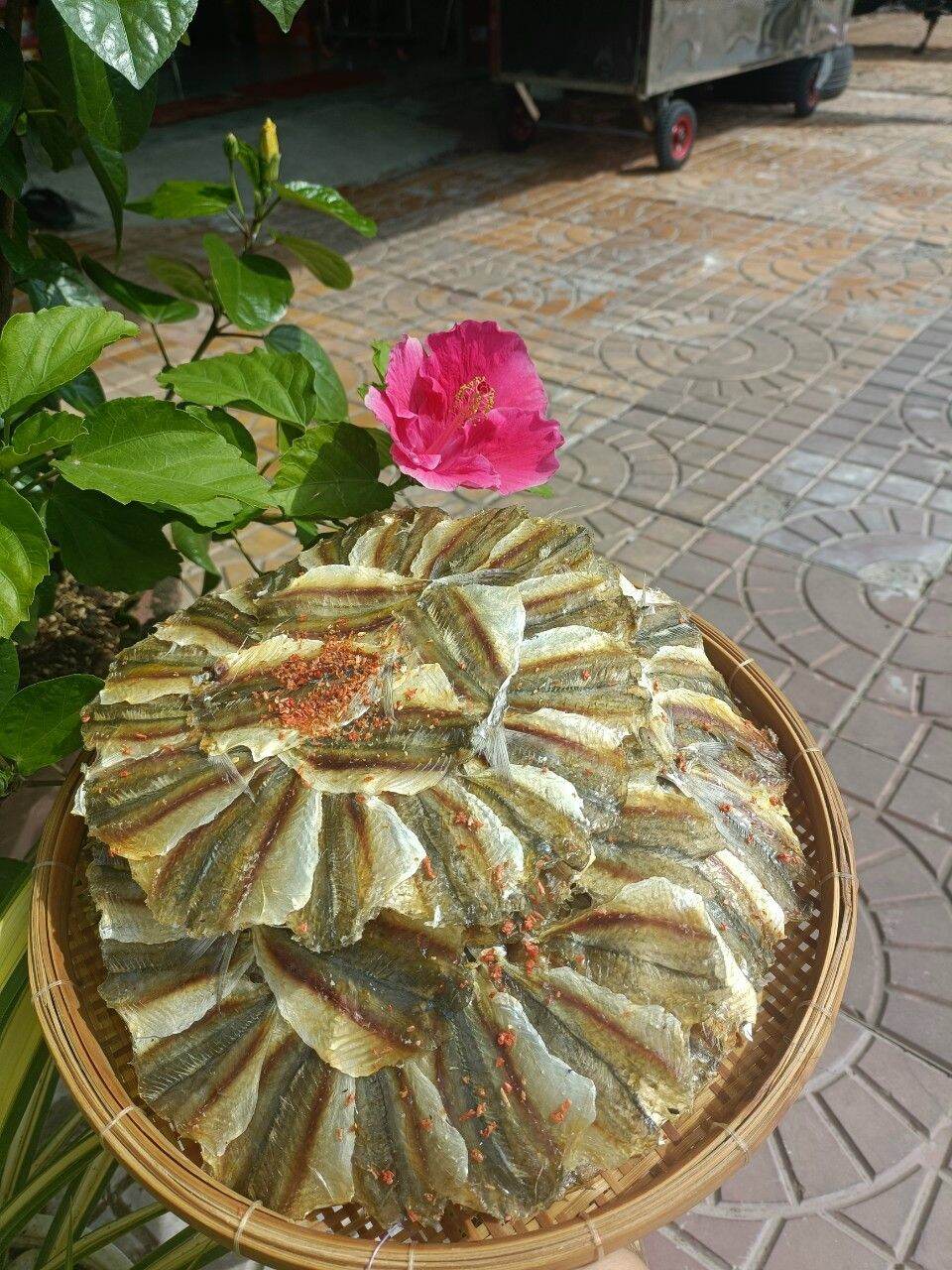 Giá Sỉ khô cá chỉ Vàng