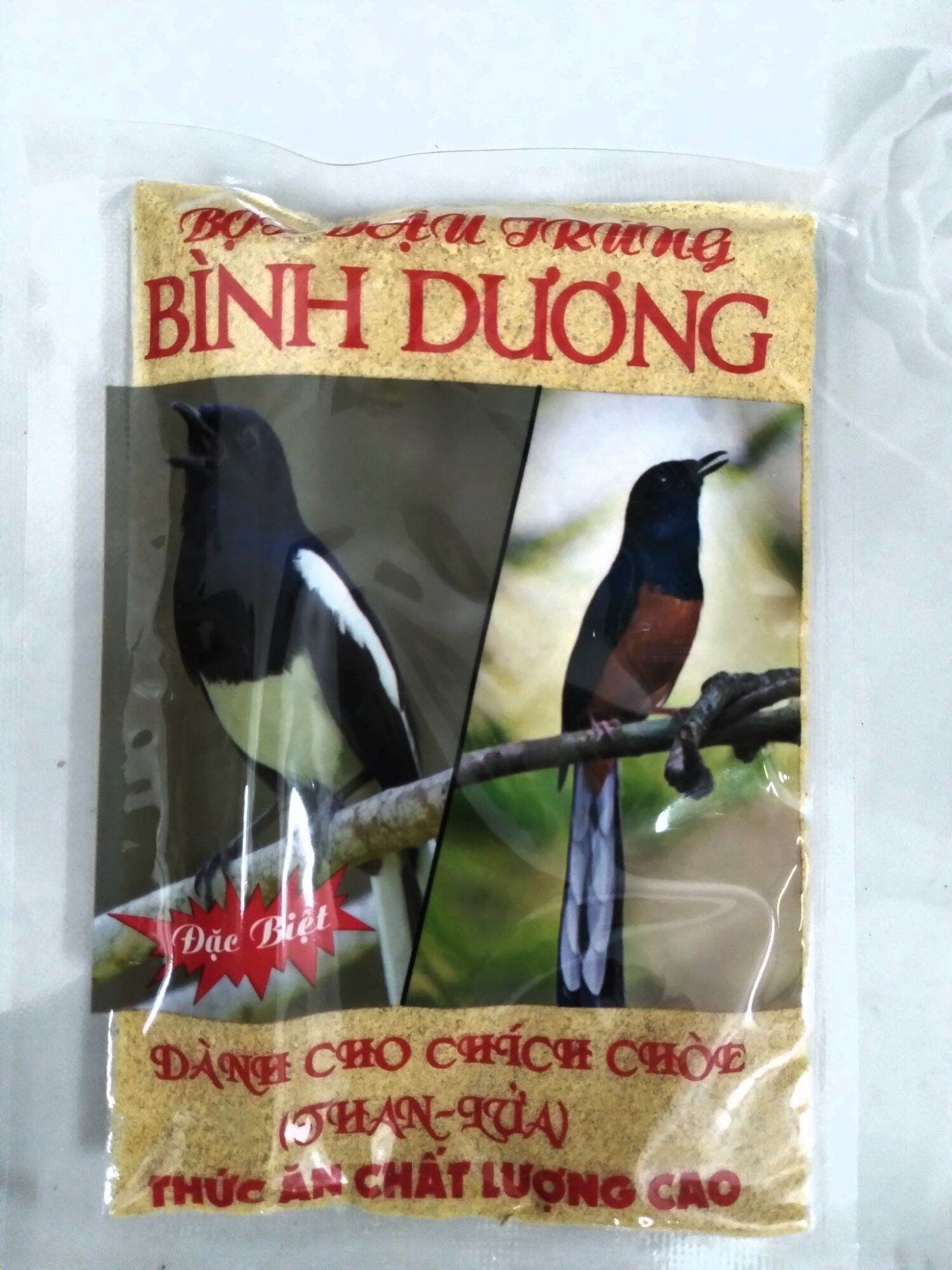 Cám dành cho chim chích chòe Bình Dương