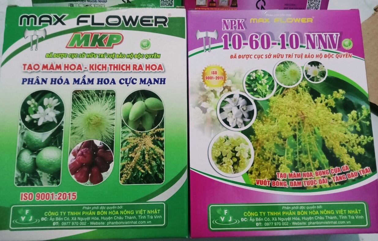 Bộ đôi sản phẩm kích thích ra hoa đồng loạt gồm: 1kg "max flower mkp" + 1kg "max flower 10-60-10"