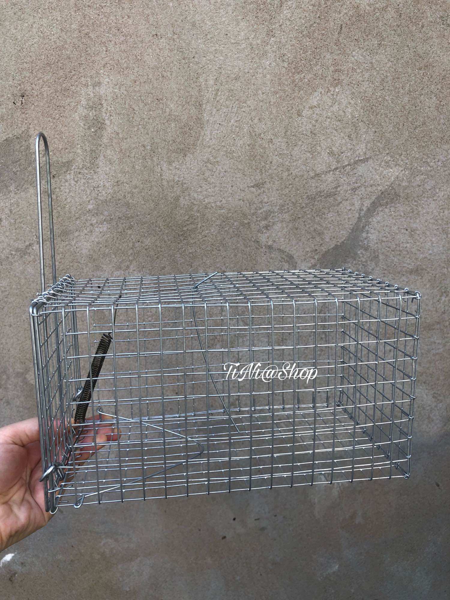 Combo 5 Bẫy Chuột Cống Nhum 12x12x22cm