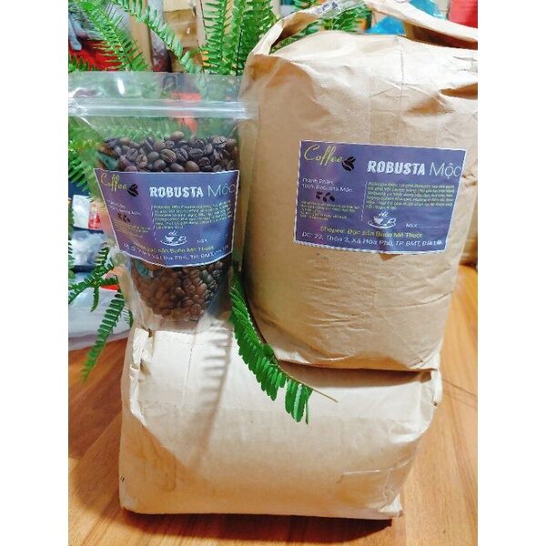 5kg Cafe Robusta nguyên chất Ban Mê Thuột